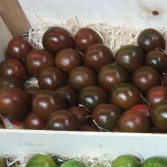 Pomidor Black Cherry-Lycopersicon esculentum
