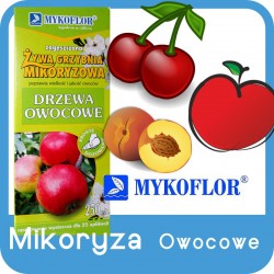 Mikoryza Drzewa Owocowe